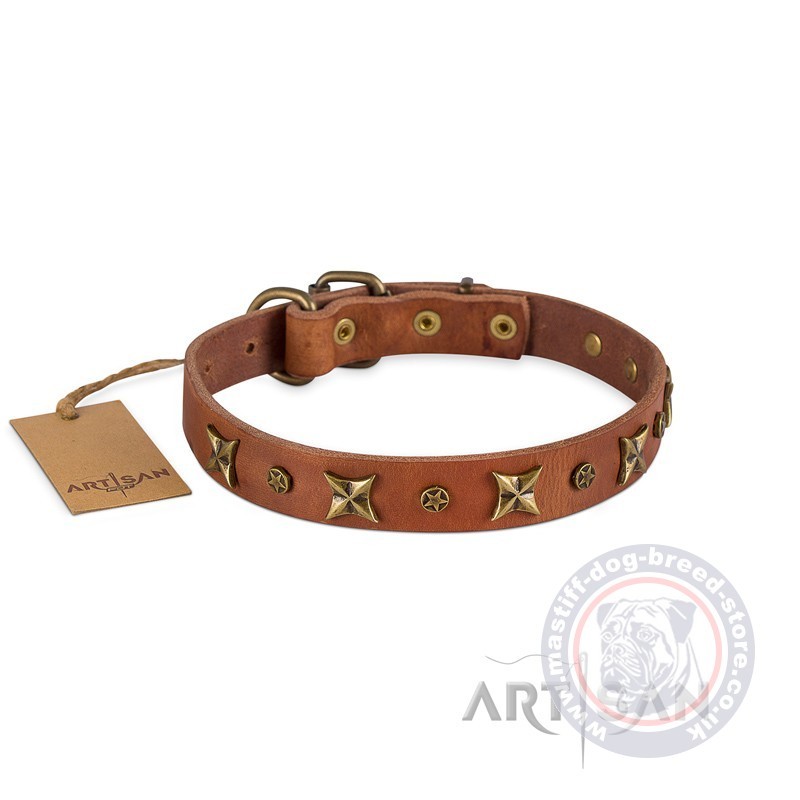 Leather Dog 【Collar】 For Mastiff FDT Artisan The best Mastiff
